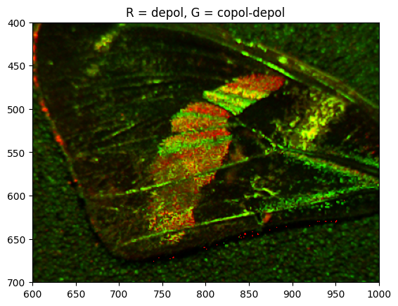 Multispectral Image of Butterfly Wing