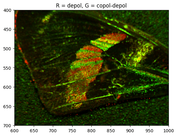 Multispectral Image of Butterfly Wing